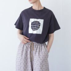qiri-ct004-25-1