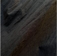 cynical-512-96066