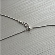 rapiecage_17-291-5-1